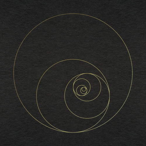 The Ocean : Phanerozoic Live